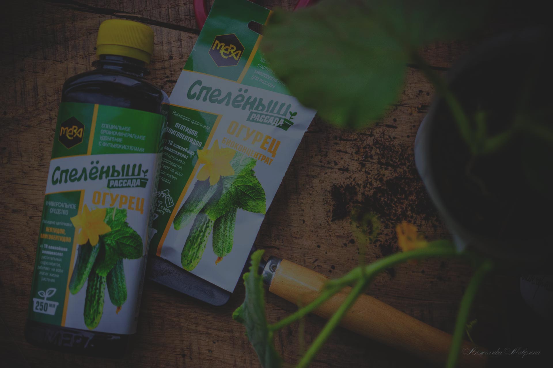 Как создать компостную кучу: пошаговое руководство