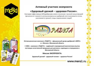 “РАДУГА” г. Москва – официальный партнёр компании “МЕРА”