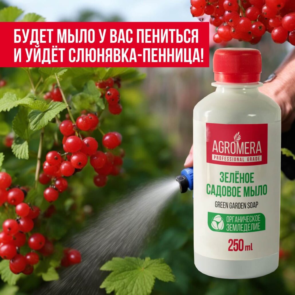 зеленое мыло