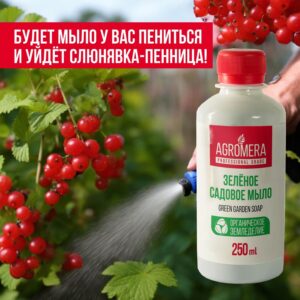 зеленое мыло