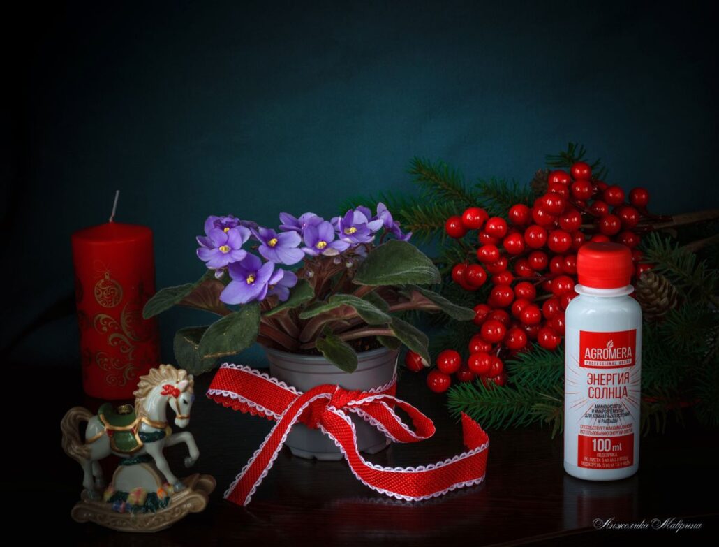 правильная подкормка растений