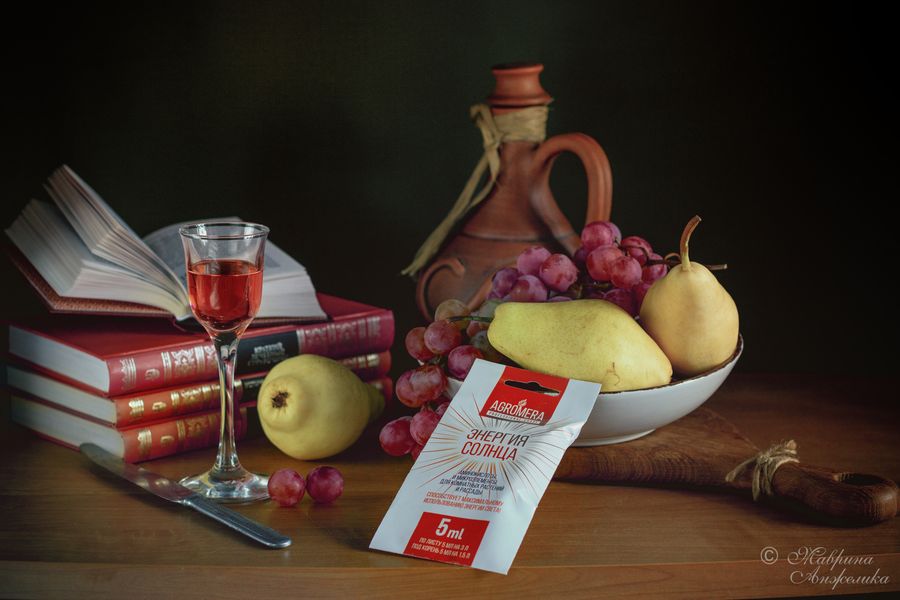 Как ухаживать за комнатными растениями зимой: 5 простых советов