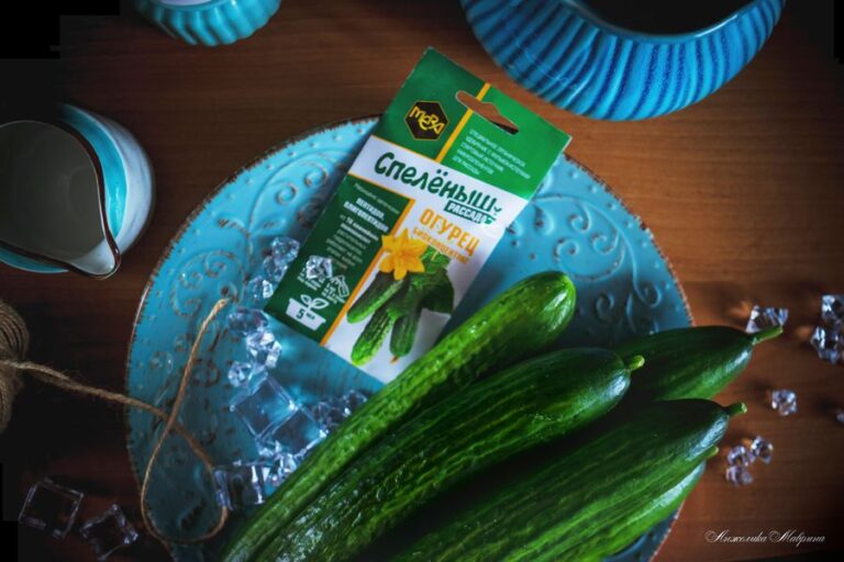 Защита рассады огурцов от пожелтения: комплексный подход