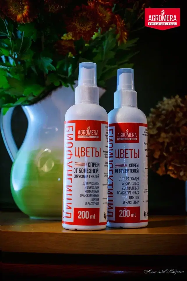 Как подготовить и использовать компост из травы для питания растений дома