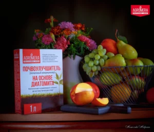 Как создать компостную кучу: пошаговое руководство