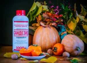 Как подготовить цветочные ящики к высадке растений весной